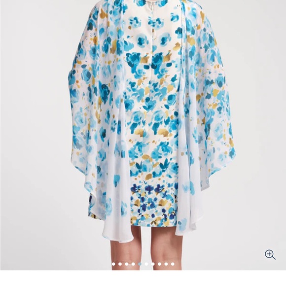 Frances Valentine Cape Dress - Picture 2 of 4